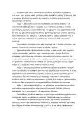 Savivaldybių biudžetų formavimo teisiniai pagrindai ir ypatumai. Referatas 13 puslapis