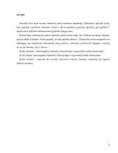 Netiesioginiai mokesčiai Prancūzijoje 2 puslapis