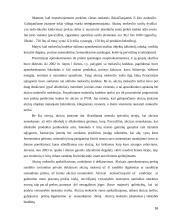 Netiesioginiai mokesčiai Prancūzijoje 16 puslapis