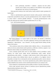 Valstybes biudžeto bei jo formavimo ypatumai 13 puslapis