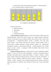 Valstybes biudžeto bei jo formavimo ypatumai 17 puslapis