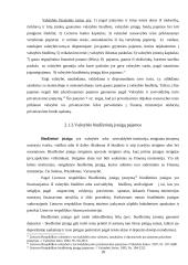 Valstybes biudžeto bei jo formavimo ypatumai 18 puslapis