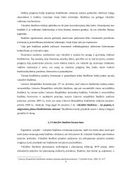 Valstybes biudžeto bei jo formavimo ypatumai 4 puslapis