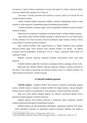 Valstybes biudžeto bei jo formavimo ypatumai 7 puslapis