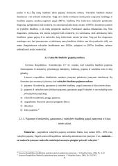 Valstybes biudžeto bei jo formavimo ypatumai 9 puslapis