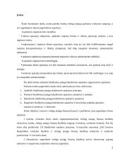 Lietuvos viešųjų įstaigų finansų finansai ir problemos 2 puslapis