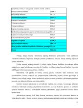 Lietuvos viešųjų įstaigų finansų finansai ir problemos 13 puslapis