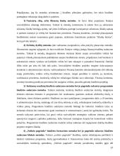 Lietuvos viešųjų įstaigų finansų finansai ir problemos 17 puslapis