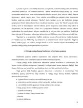 Lietuvos viešųjų įstaigų finansų finansai ir problemos 19 puslapis