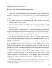 Lietuvos viešųjų įstaigų finansų finansai ir problemos 4 puslapis