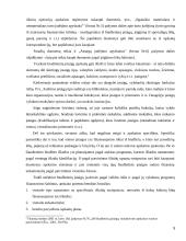 Lietuvos viešųjų įstaigų finansų finansai ir problemos 5 puslapis