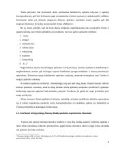 Lietuvos viešųjų įstaigų finansų finansai ir problemos 6 puslapis