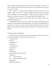 Lietuvos viešųjų įstaigų finansų finansai ir problemos 10 puslapis