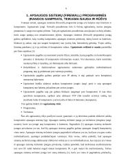 Apsaugos sistemų (firewall) programinė įranga 5 puslapis