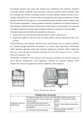 Elektros mašinų apvijų džiovinimo būdai 12 puslapis