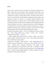 Asmens ūkinės veiklos laisvės interpretavimas Lietuvos Respublikos Konstitucinio Teismo nutarimuose 2 puslapis