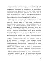 Asmens ūkinės veiklos laisvės interpretavimas Lietuvos Respublikos Konstitucinio Teismo nutarimuose 13 puslapis