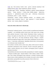 Asmens ūkinės veiklos laisvės interpretavimas Lietuvos Respublikos Konstitucinio Teismo nutarimuose 5 puslapis