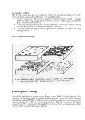 Geologija: karstiniai ir sufoziniai procesai 5 puslapis