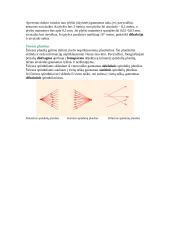 Geometrinė optika 2 puslapis