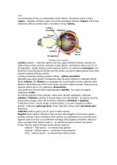 Geometrinė optika 17 puslapis