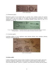 Gręžimo staklės 8 puslapis