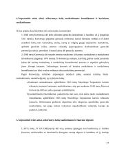 Jungtinės Tautos ir žmogaus teisės 17 puslapis