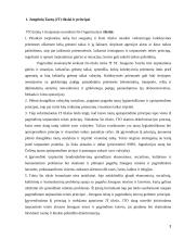 Jungtinės Tautos ir žmogaus teisės 3 puslapis