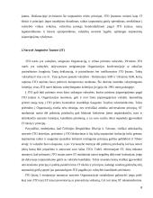 Jungtinės Tautos ir žmogaus teisės 6 puslapis