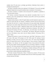 Jungtinės Tautos ir žmogaus teisės 7 puslapis