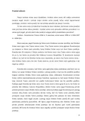 Konstituciniai civilinio proceso klausimai referatas 20 puslapis