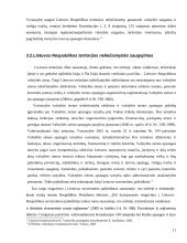 Lietuvos vyriausybės kompetencija 11 puslapis