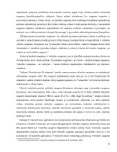 Lietuvos vyriausybės kompetencija 13 puslapis