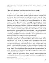 Lietuvos vyriausybės kompetencija 18 puslapis