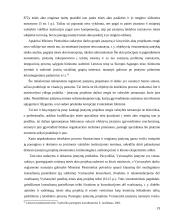 Lietuvos vyriausybės kompetencija 19 puslapis