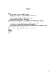 NVO situacijos Lietuvoje analizė: NVO veiklos ypatumai, problemos, jų sprendimo būdai bei perspektyvos 2 puslapis