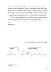 NVO situacijos Lietuvoje analizė: NVO veiklos ypatumai, problemos, jų sprendimo būdai bei perspektyvos 12 puslapis