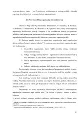 NVO situacijos Lietuvoje analizė: NVO veiklos ypatumai, problemos, jų sprendimo būdai bei perspektyvos 17 puslapis