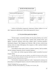 NVO situacijos Lietuvoje analizė: NVO veiklos ypatumai, problemos, jų sprendimo būdai bei perspektyvos 20 puslapis