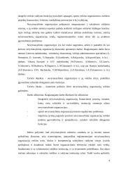 NVO situacijos Lietuvoje analizė: NVO veiklos ypatumai, problemos, jų sprendimo būdai bei perspektyvos 4 puslapis