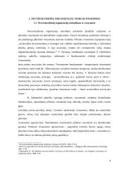 NVO situacijos Lietuvoje analizė: NVO veiklos ypatumai, problemos, jų sprendimo būdai bei perspektyvos 6 puslapis