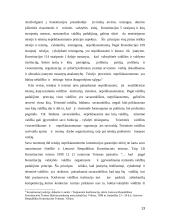 Teisėjų nepriklausomumo konstitucinės garantijos 13 puslapis