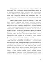 Teisėjų nepriklausomumo konstitucinės garantijos 9 puslapis