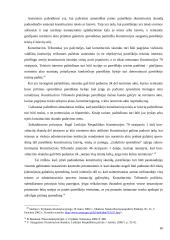 Konstitucinis skundo instituto samprata 16 puslapis