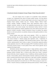 Konstitucinis skundo instituto samprata 19 puslapis