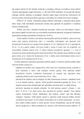 Konstitucinis skundo instituto samprata 20 puslapis