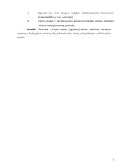 Konstitucinis skundo instituto samprata 3 puslapis