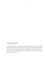 Žmogaus teisių apsaugos garantijos LR Konstitucijoje 15 puslapis