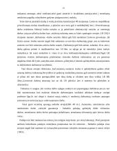 Žmogaus teisių apsaugos garantijos LR Konstitucijoje 19 puslapis