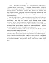 Žmogaus teisių apsaugos garantijos LR Konstitucijoje 3 puslapis